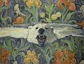flying bear 002